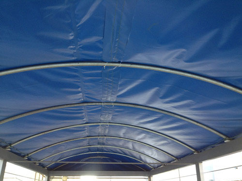 (dng)ϵ-4